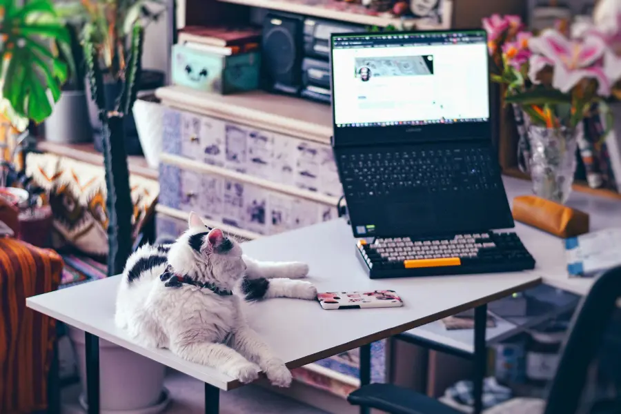 Mixing-business-and-personal-finances-is-risky